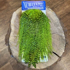 Whiting Freshwater Streamer Saddle - Schlappen/Bugger -Cheap Hook And Shank Store 218021 6