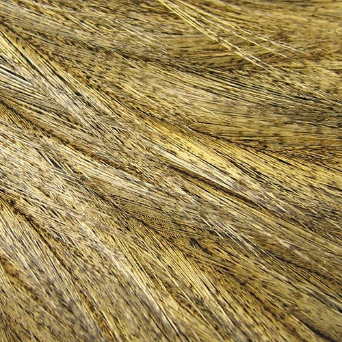 Whiting Coq De Leon Rooster Cape 3 Whiting Coq De Leon Rooster Cape - Image 2