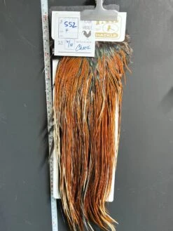 Flash Sale Hackle 552 - Heritage Saddle - Furce (size 16-18)