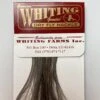 Whiting 100 Pack Dry Fly Hackle - Dark Dun - 14 -Cheap Hook And Shank Store Dark Dun 9d9e777a d4e1 4edf 80bd 8301de6535c9