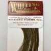 Whiting 100 Pack Dry Fly Hackle - Dark Olive - 12 -Cheap Hook And Shank Store Dark Olive