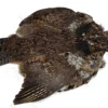 Nature's Spirit Ruffed Grouse Skin 2 Nature's Spirit Ruffed Grouse Skin -Cheap Hook And Shank Store SRGS 2